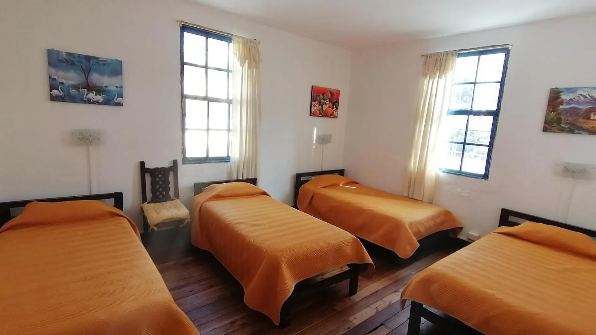 Galapagos Natural Life Hostel Quito Ecuador
